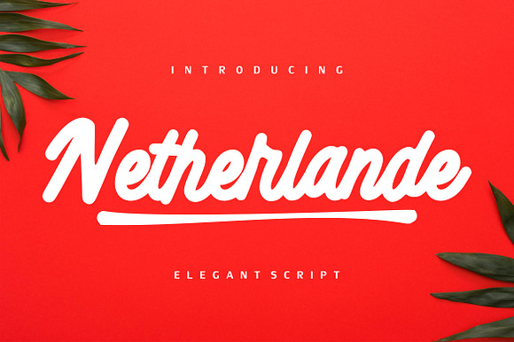 Netherlande - Elegant Script preview 7