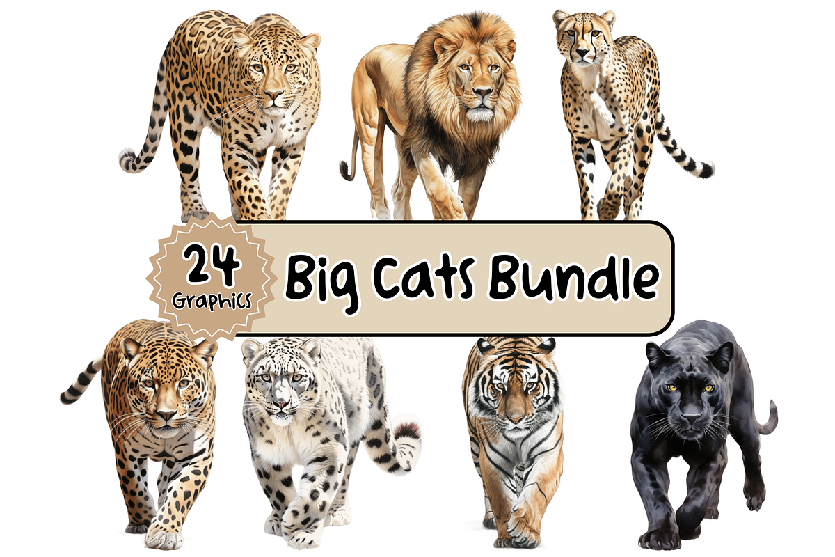 Individual Big Cats Bundle of 24, a Graphic by Jay Major Designs (Photo 1 of 7)