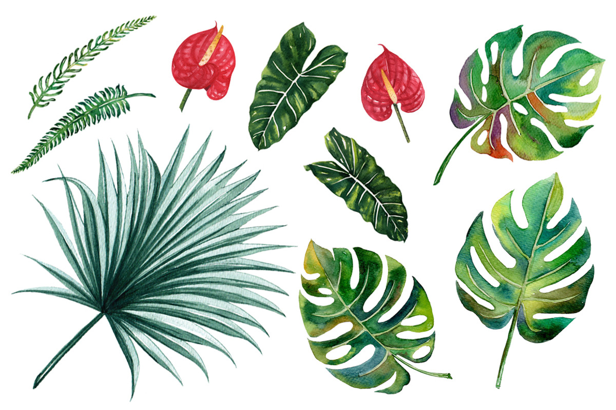 Sale Spring Jungle Blooming, a Decorative Illustration by Planolla (Photo 2 of 2)