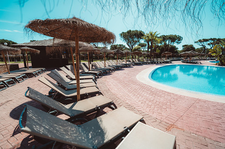 Empty poolside loungers and parasols, a Sports & Recreation Photo by SkyNext