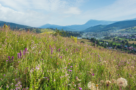 Carpathian mountain countryside summer meadows with beautiful wi, a Nature Photo by YuriyB