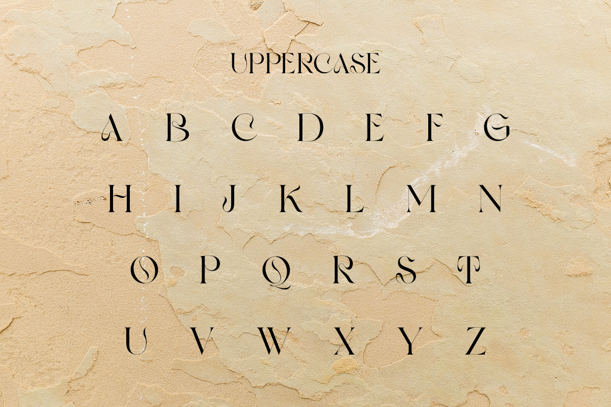 Tears of Joy | Display Serif, a Serif Font by Muntab_Art (Photo 8 of 9)