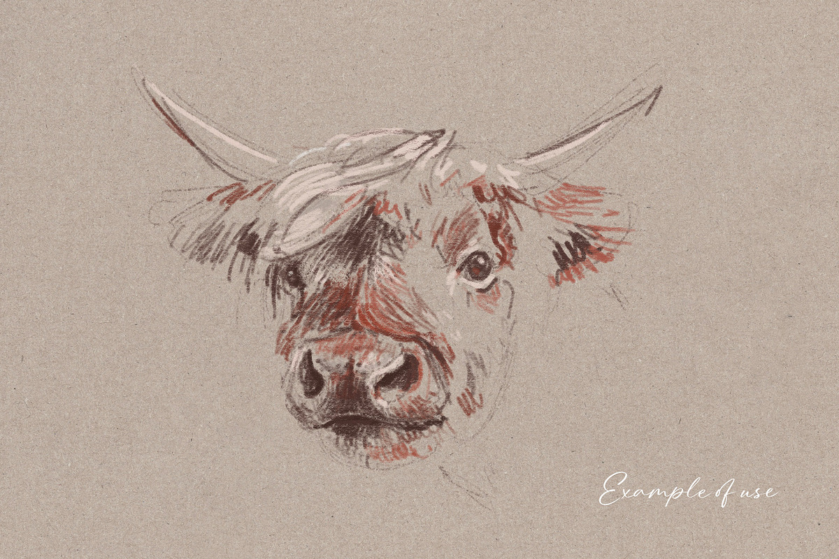 Charcoal Procreate Brushes & Paper, a Brushes & More by Pencil Twist (Photo 5 of 6)