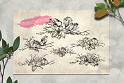 Magnolia flowers. Engraving style., a Decorative Illustration by Alena Kaz (Thumbnail 5 of 12)