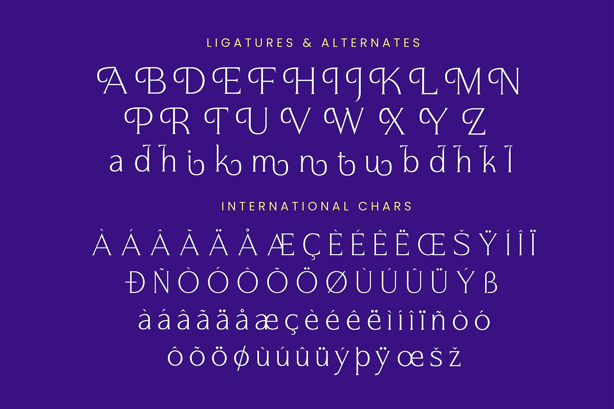 Argent Paradise Serif Oldstyle, a Serif Font by Letterena Studios (Photo 14 of 15)