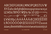 CS Bilges – Classic Font, a Serif Font by Craft Supply Co. (Thumbnail 8 of 8)