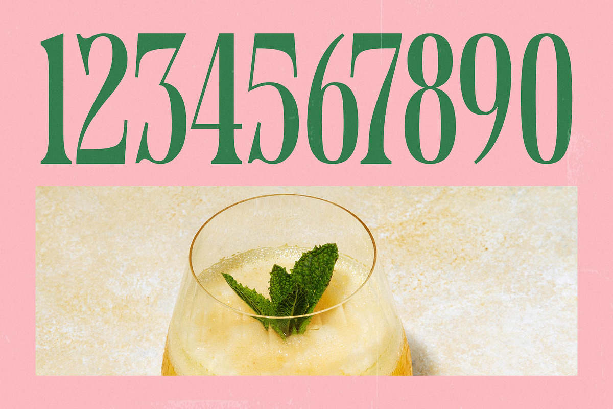 Holiday Foreste Modern Serif Font, a Serif Font by timelesstype.co (Photo 14 of 15)