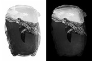 Textured Masks, a Texture Graphic by Colatudo Store (Thumbnail 4 of 17)