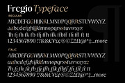 Fregio - Serif Family (10 Fonts), a Serif Font by Dora Typefoundry (Thumbnail 16 of 16)
