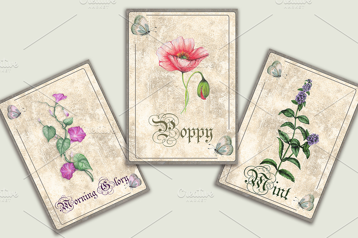 Vintage Style Botanical Cards, an Illustration by Arevka (Photo 3 of 3)