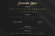Anasite Malela - Bold Script Font, a Script Font by StringLabs (Thumbnail 9 of 11)