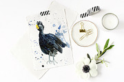 Tropical Birds, Watercolor painting, an Animal Illustration by Hanna Hryharenka (Thumbnail 11 of 13)