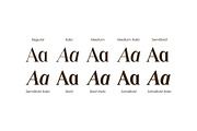 Vexford Quantum Serif Family Font, a Serif Font by UICreative (Thumbnail 10 of 13)