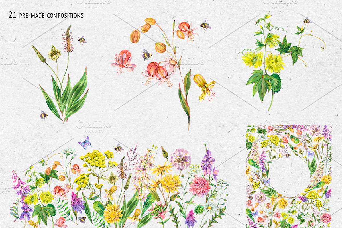 Watercolor meadow herbs&flowers, an Illustration by Depiano (Photo 6 of 19)