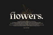Tittowest Modern - Vintage Typeface, a Slab Serif Font by Haksen (Thumbnail 6 of 12)