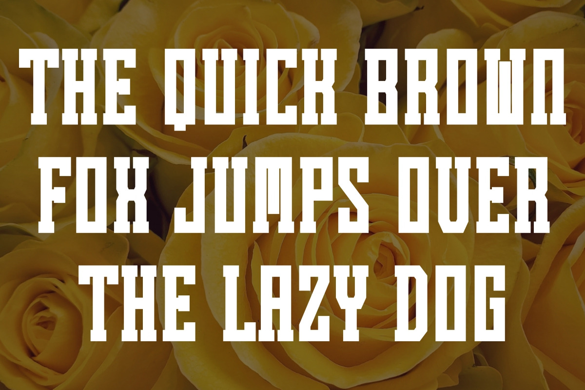 Summer Flowers - Vintage Slab Serif, a Slab Serif Font by Pian45 Studio (Photo 11 of 12)