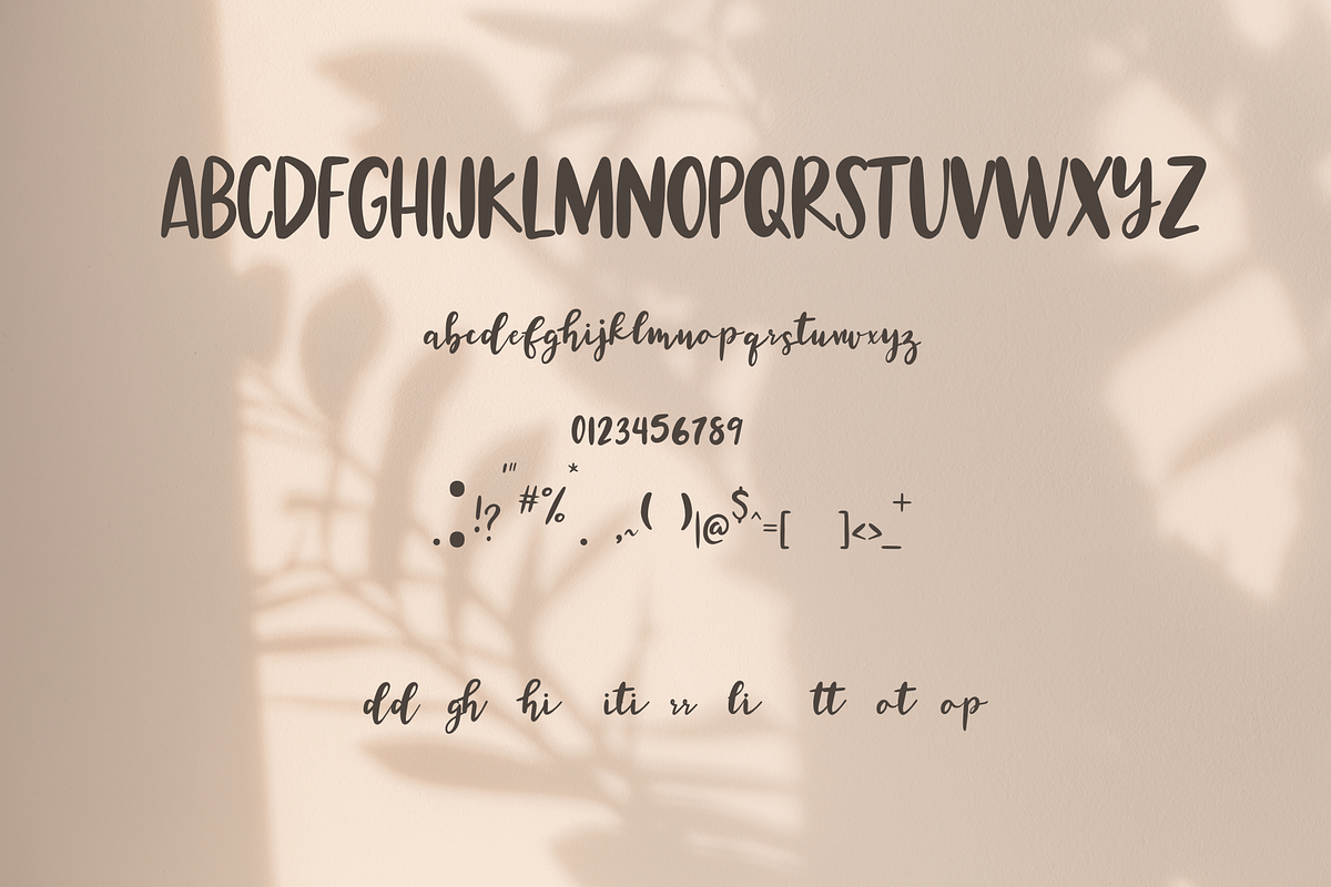 Amalia, a Handwritten Font by nongnuchpolyiam1 (Photo 8 of 8)