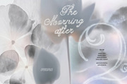 The Morning After: 70 Backgrounds, a Background Graphic by Purple (Thumbnail 1 of 11)