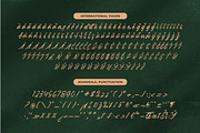 Pluretta Vintage Modern Brush Font, a Serif Font by Letterena Studios Script (Thumbnail 19 of 20)