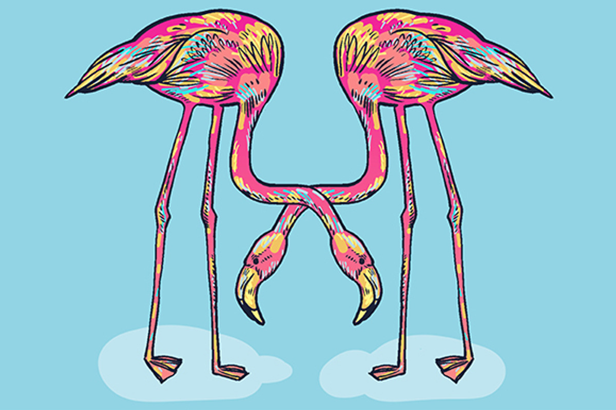 FLAMINGO, an Illustration by Tanya Akhmett (Photo 5 of 11)