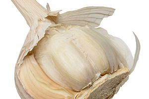 Clove of garlic in a dry beige peel, isolated on a background. C, a Food & Drink Photo by ndanko