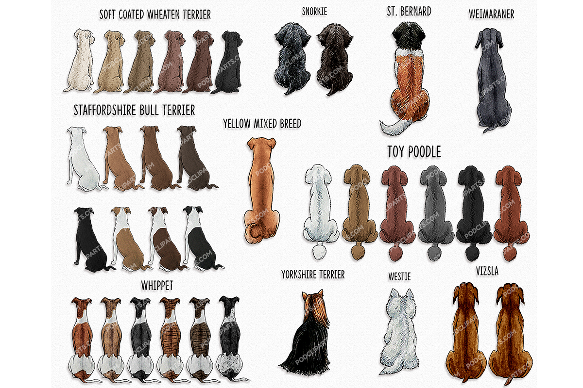 Dog Mom, Best friends Clipart PNG, a Person Illustration by Podcliparts (Photo 3 of 7)