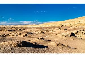Whale fossils in the Ocucaje desert, a Nature Photo by Leonid Andronov