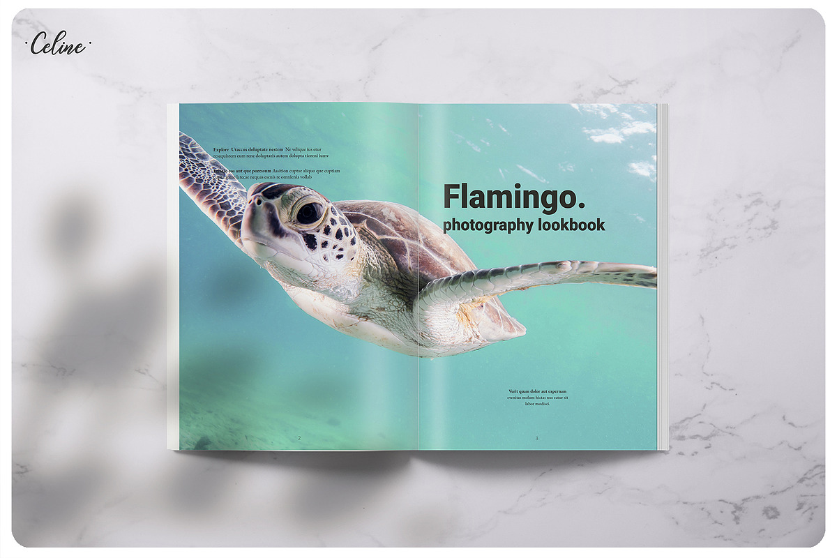 FLAMINGO Lookbook Template, a Magazine Template by Celine Studio (Photo 3 of 9)