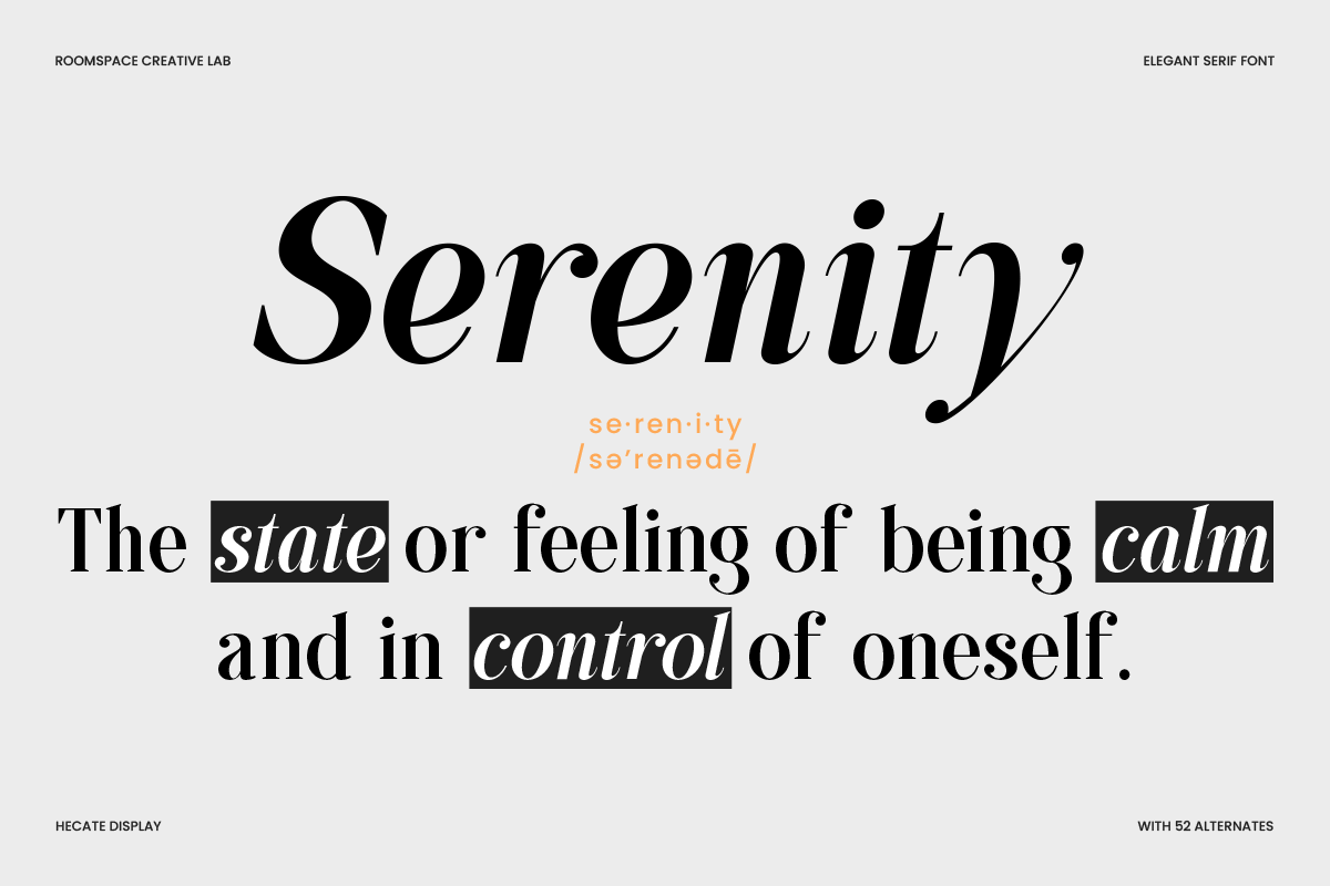 Hecate Display Modern Editorial Font, a Serif Font by roomspace creative lab (Photo 4 of 14)
