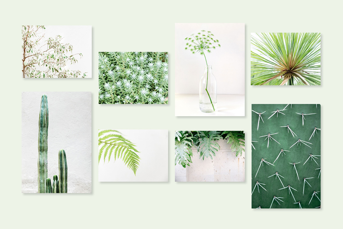 Minimal Greenery Photo Bundle, a Business Photo by Visual Bloom (Photo 2 of 4)