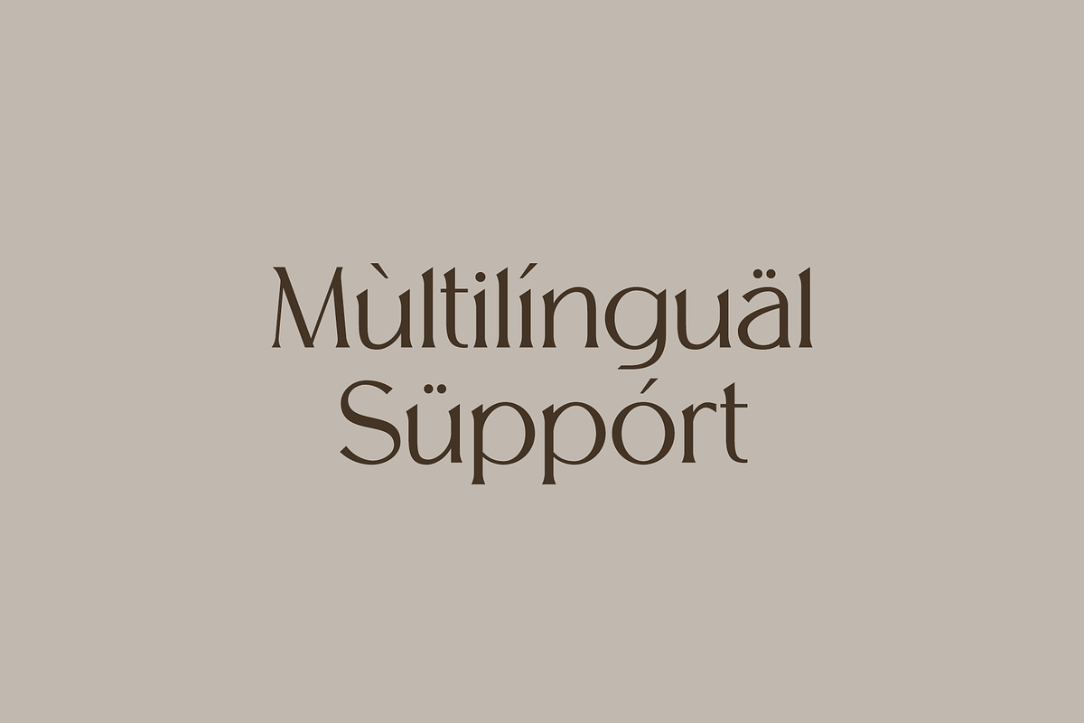 Melion, a Serif Font by OWL KING (Photo 2 of 13)