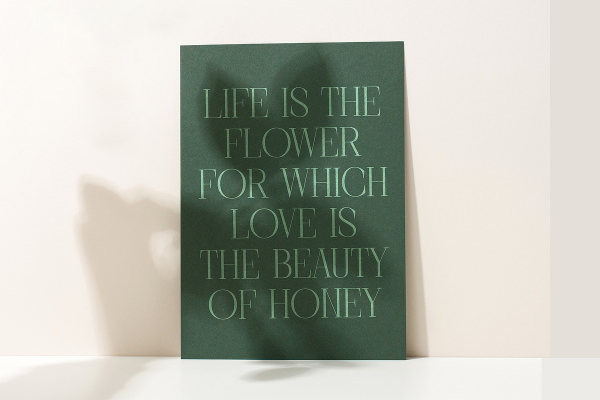 Barely Painter Elegant Serif Font, a Serif Font by timelesstype.co (Photo 14 of 20)