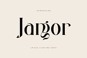 Jangor ligature serif typeface, a Serif Font by yaqublekker (Thumbnail 1 of 10)
