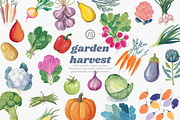 Watercolor vegetable clipart set, a Decorative Illustration by Patishop Art (Thumbnail 1 of 8)