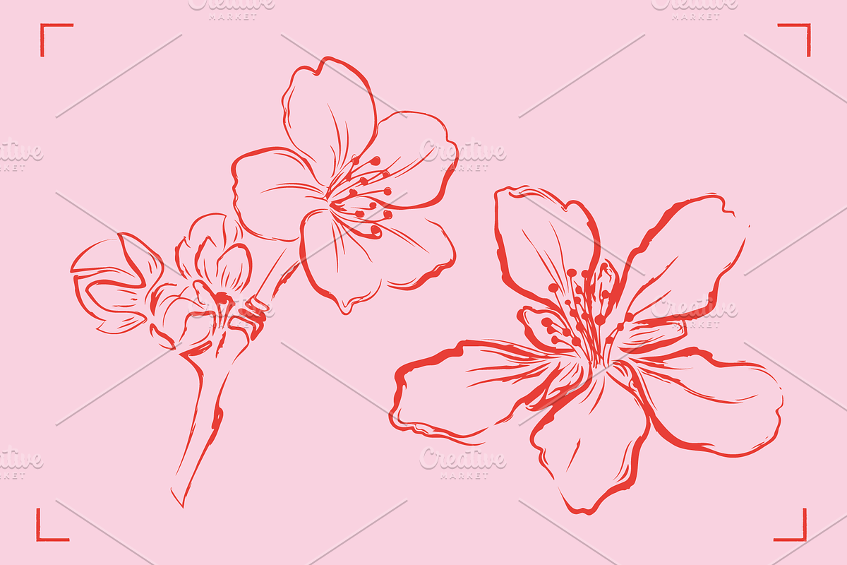 ALMOND LINE ART SET (14+ elements), a Food Illustration by Bonfloret Studio (Photo 5 of 8)
