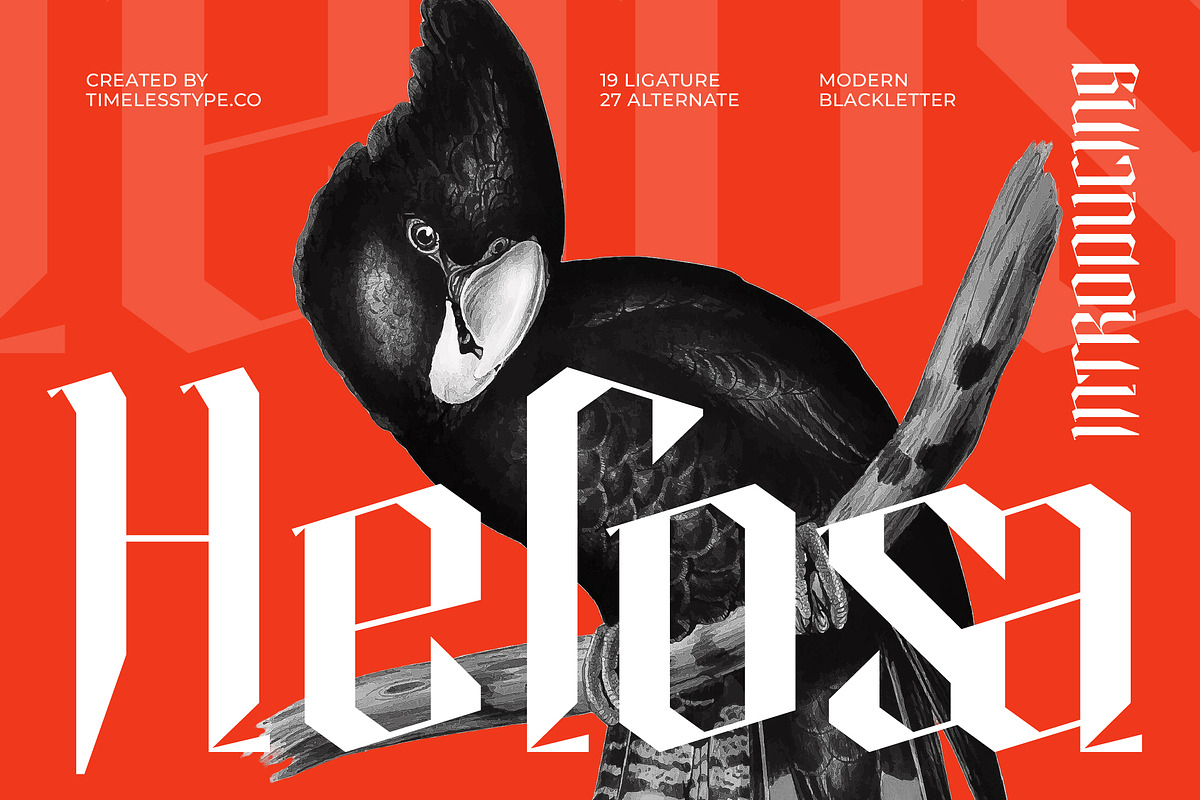 Helosa Modern Blackletter Font, a Blackletter Font by timelesstype.co (Photo 1 of 20)