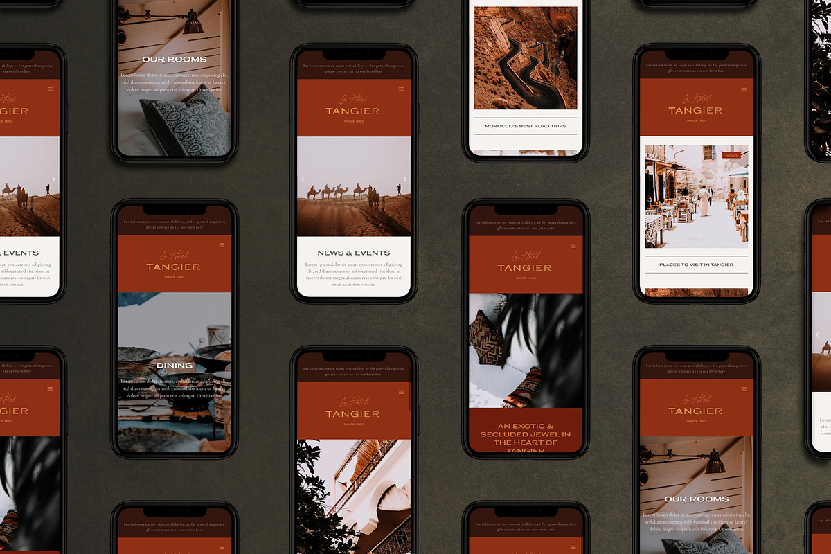 TANGIER Template Set for Elementor, a WordPress Template by Rare Studio (Photo 3 of 3)