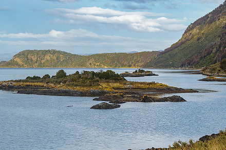 Lapataia river landscape, tierra del fuego park, argentina, a Nature Photo by DanFLCreativo