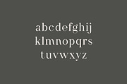 Stardust Celestina Modern Serif Font, a Serif Font by UICreative (Thumbnail 10 of 13)