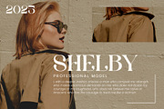 Shole - Display Serif Font, a Serif Font by Aqeel_Art (Thumbnail 2 of 12)