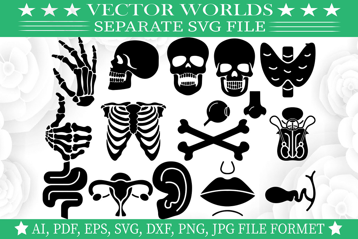 Human Anatomy SVG, Human Anatomy SVG, an Object Graphic by VectorWorlds (Photo 3 of 3)