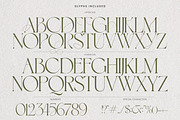 Luxury Wedding Font Bundle, a Serif Font by AndrewPixelType (Thumbnail 7 of 44)