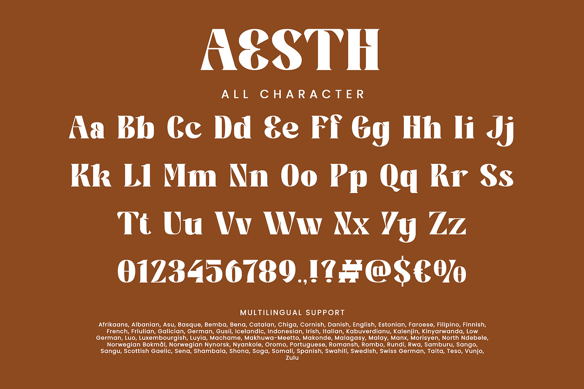 Aesth, a Slab Serif Font by HATFSTUDIO (Photo 8 of 9)
