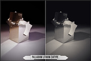Platinum Palladium Prints LUTs, a Plug-in Add-On by Raztrend (Thumbnail 27 of 32)