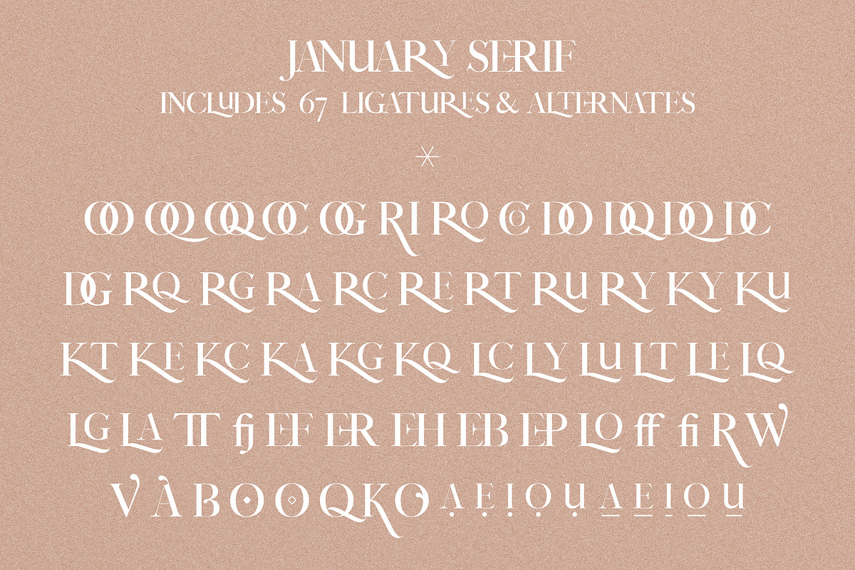 January Love - SVG Font Duo Pack, a Serif Font by SilverStag Type Foundry (Photo 25 of 35)