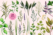 HERBS watercolor clip art set, a Graphic by AJDA ART (Thumbnail 3 of 3)