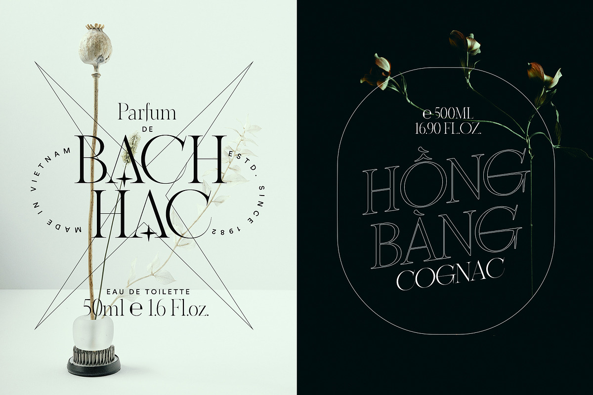 ABSINTIO - Stylish Classic Typeface, a Serif Font by One Pillar Studio (Photo 8 of 8)