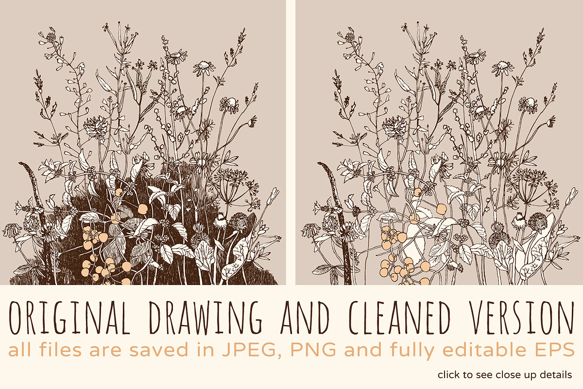 Wild Herbs, an Illustration by julianaapina (Photo 2 of 7)
