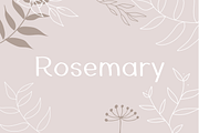 Rosemary, a Handwritten Font by Sofia Skoog (Thumbnail 1 of 8)