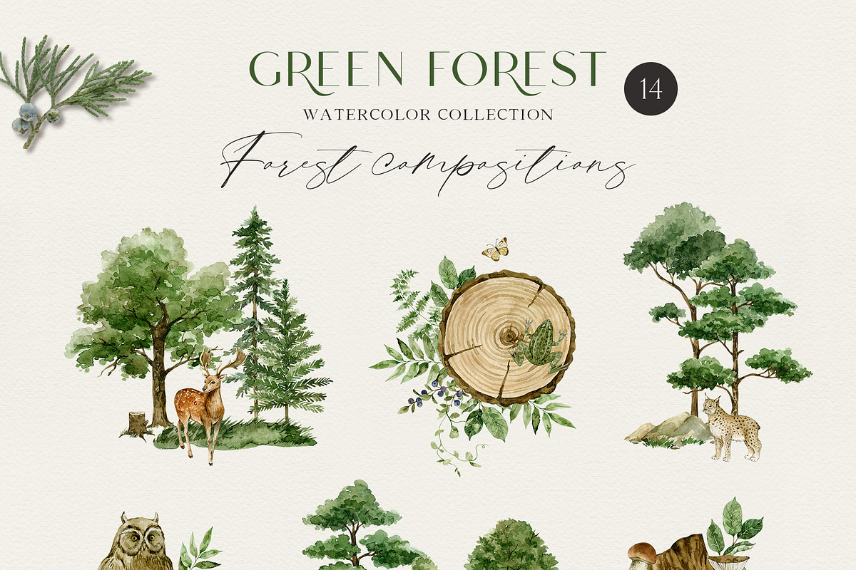 GREEN FOREST watercolor collection, an Object Illustration by long summer (Photo 2 of 17)